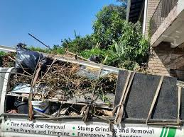 Best Retail Junk Removal  in Vaville, CA